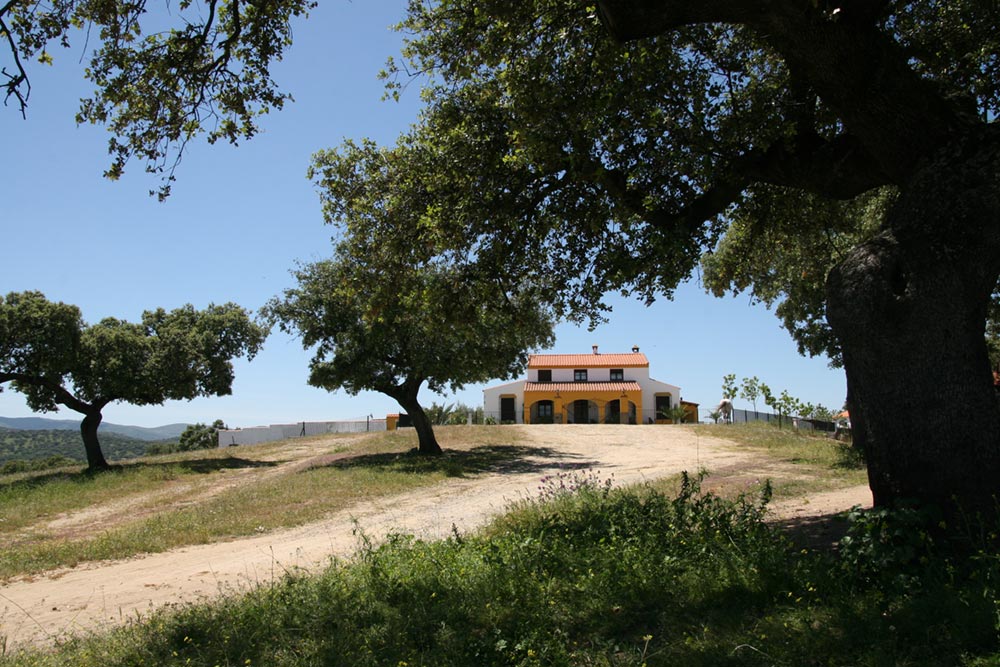 Camino entrada Casa Rural La Cabra